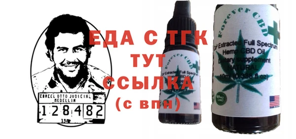 индика Пестово