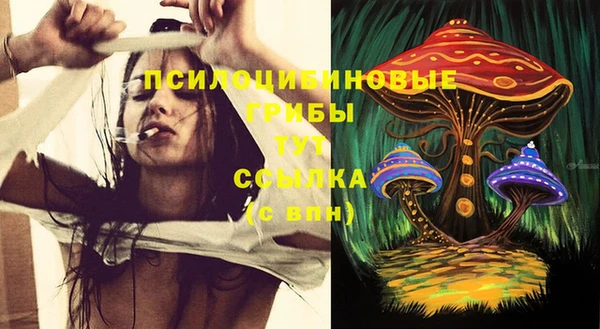 apvp Арсеньев
