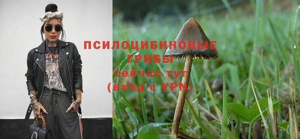apvp Арсеньев
