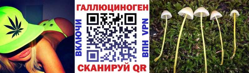 ссылка на мегу зеркало  где найти   Остров  Псилоцибиновые грибы GOLDEN TEACHER 
